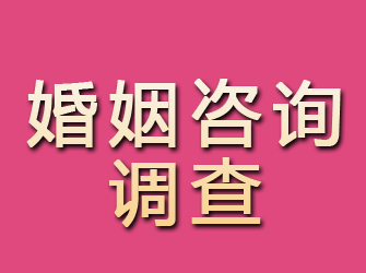 岱岳婚姻咨询调查